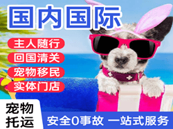 唐山三女河航空运输国际宠物托运 【国